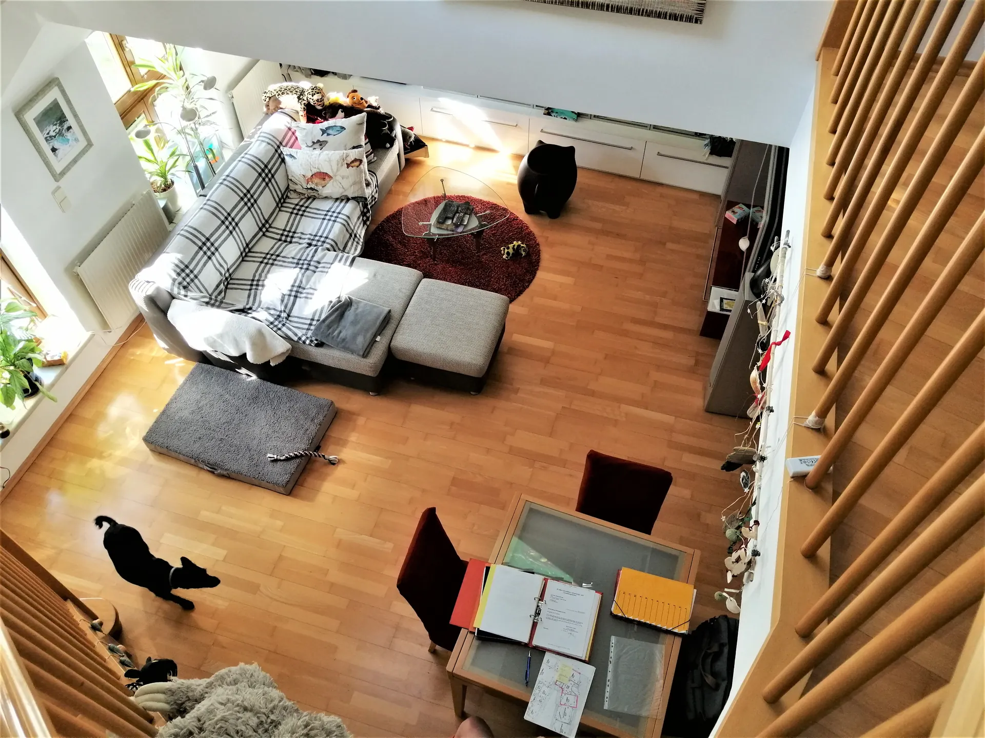 Wohnung Wien Galerie fenster – Immobilienmakler Wien | IZY Immobilien